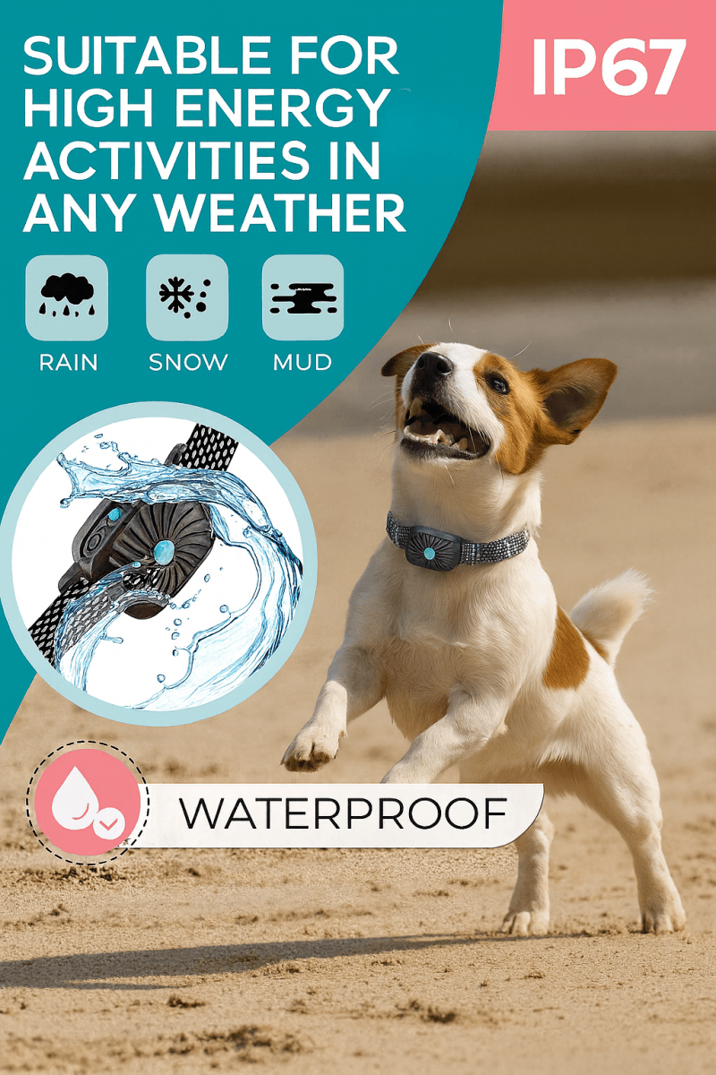 BarkLess Nano – Collare delicato antiabbaio per cuccioli e cani di piccola taglia