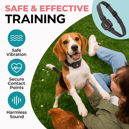 BARKWISE MINI – účinný obojok proti štekaniu pre malé psy