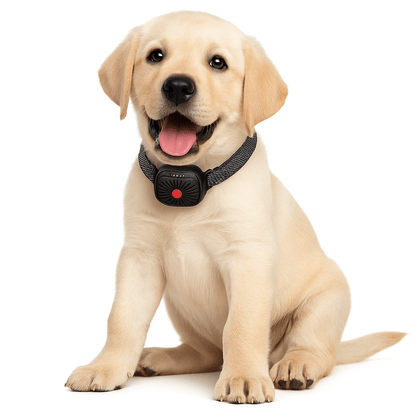 BARKWISE MINI – účinný obojok proti štekaniu pre malé psy