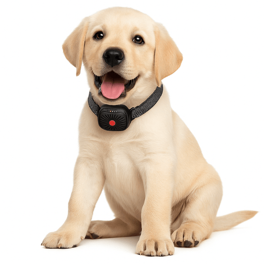 BarkLess Nano – Collare delicato antiabbaio per cuccioli e cani di piccola taglia