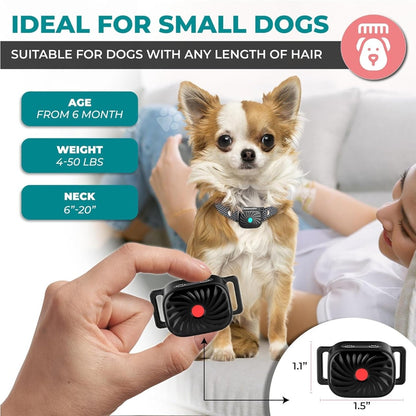 BARKWISE MINI – účinný obojok proti štekaniu pre malé psy