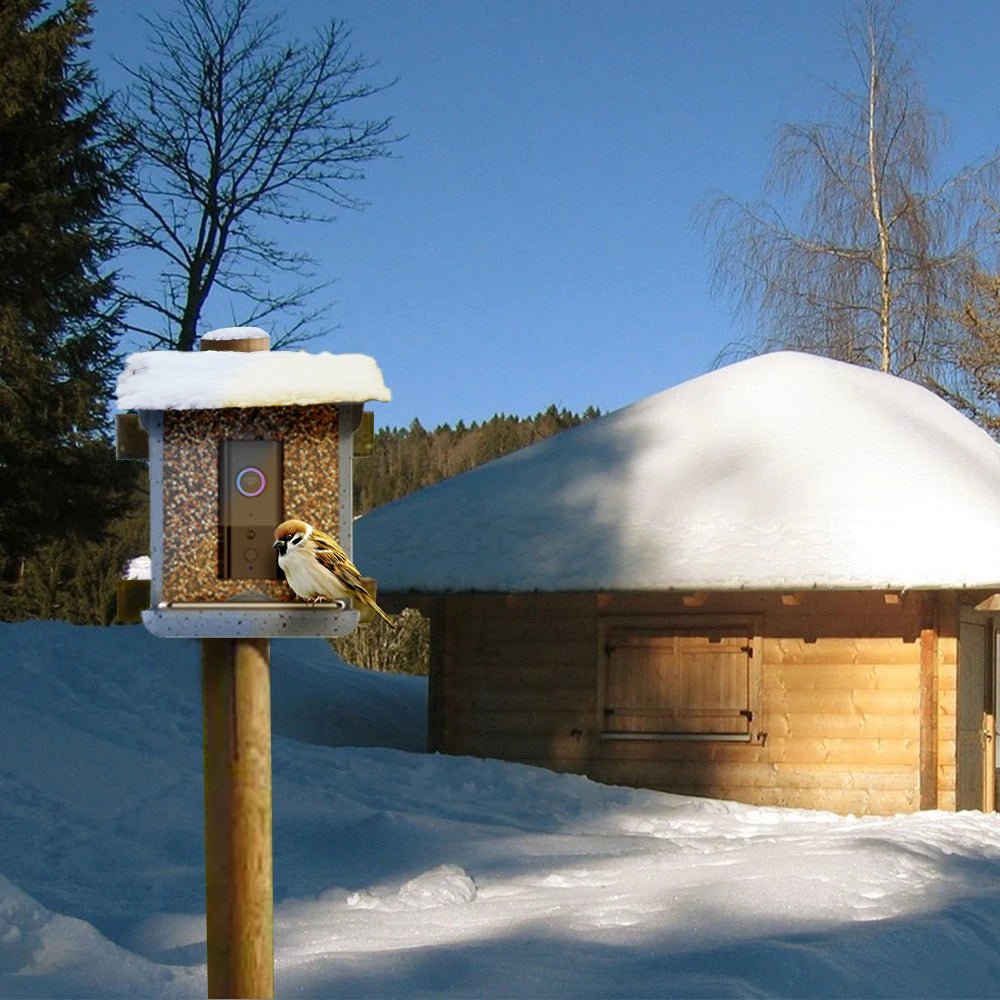 Smart Bird Feeder with Mobile App Control, Integrated Camera & Automatic Feeding 3