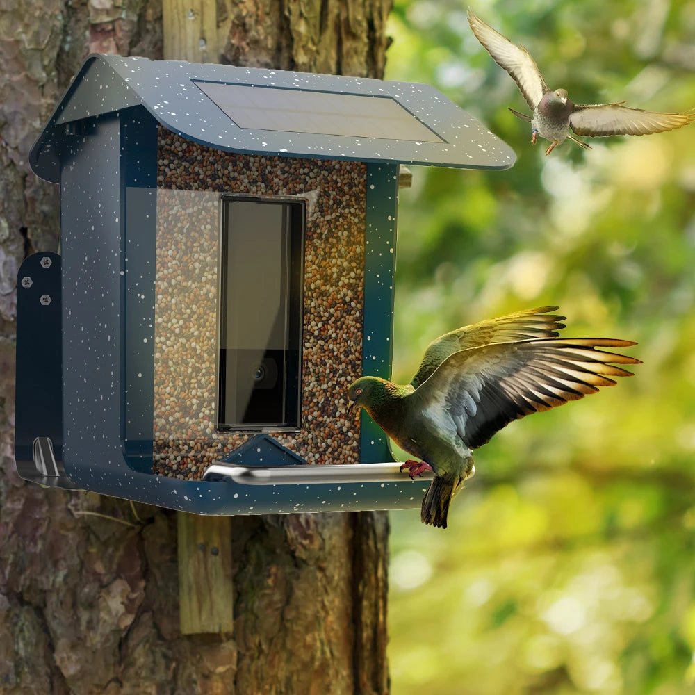 Smart Bird Feeder with Mobile App Control, Integrated Camera & Automatic Feeding 0