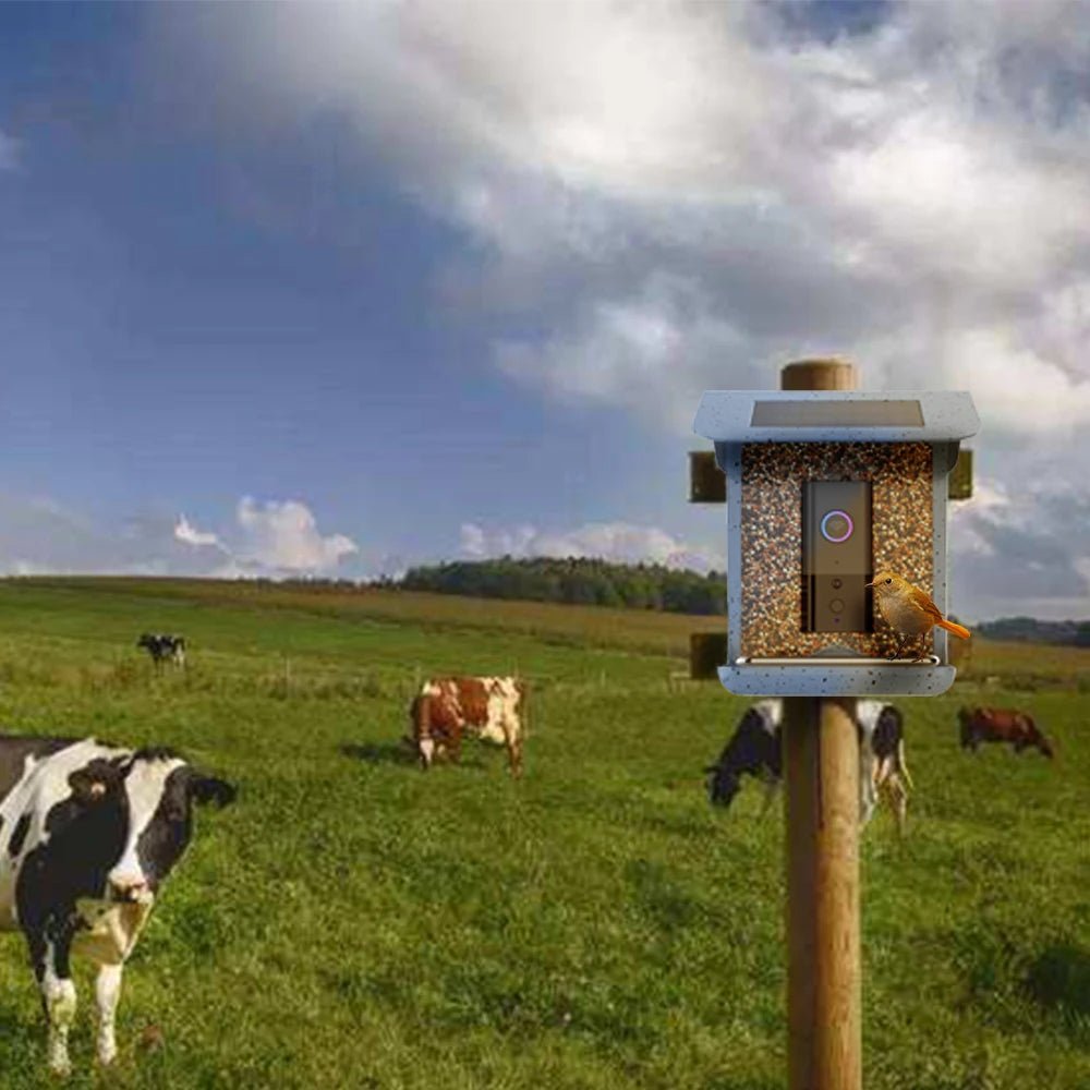 Smart Bird Feeder with Mobile App Control, Integrated Camera & Automatic Feeding 1