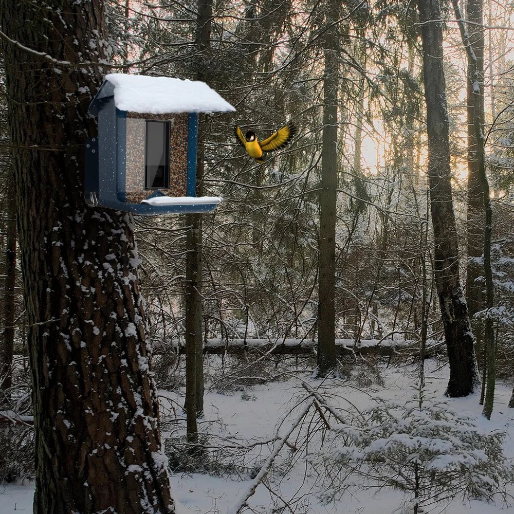 Smart Bird Feeder with Mobile App Control, Integrated Camera & Automatic Feeding 2