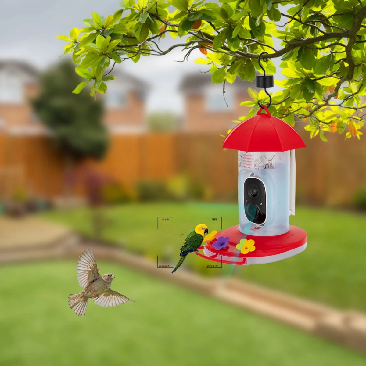 Smart Bird Feeder with 1080P Camera & Wide Viewing Angle for Outdoor Monitoring 3