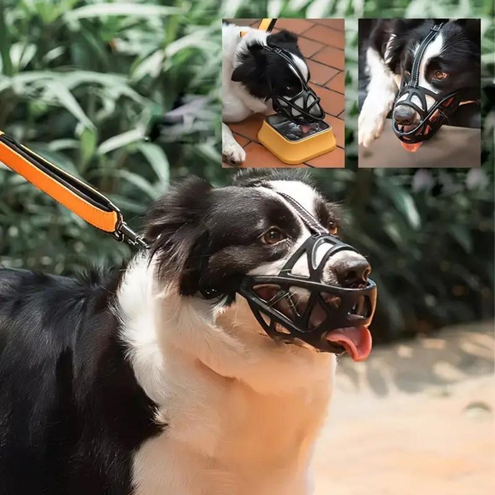 BITEWISE – Gentle Dog Muzzle for Safe Behavior Control