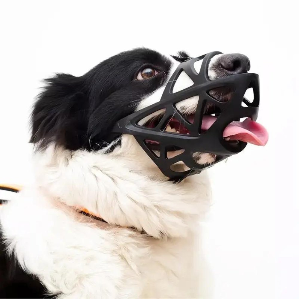 BITEWISE – Gentle Dog Muzzle for Safe Behavior Control