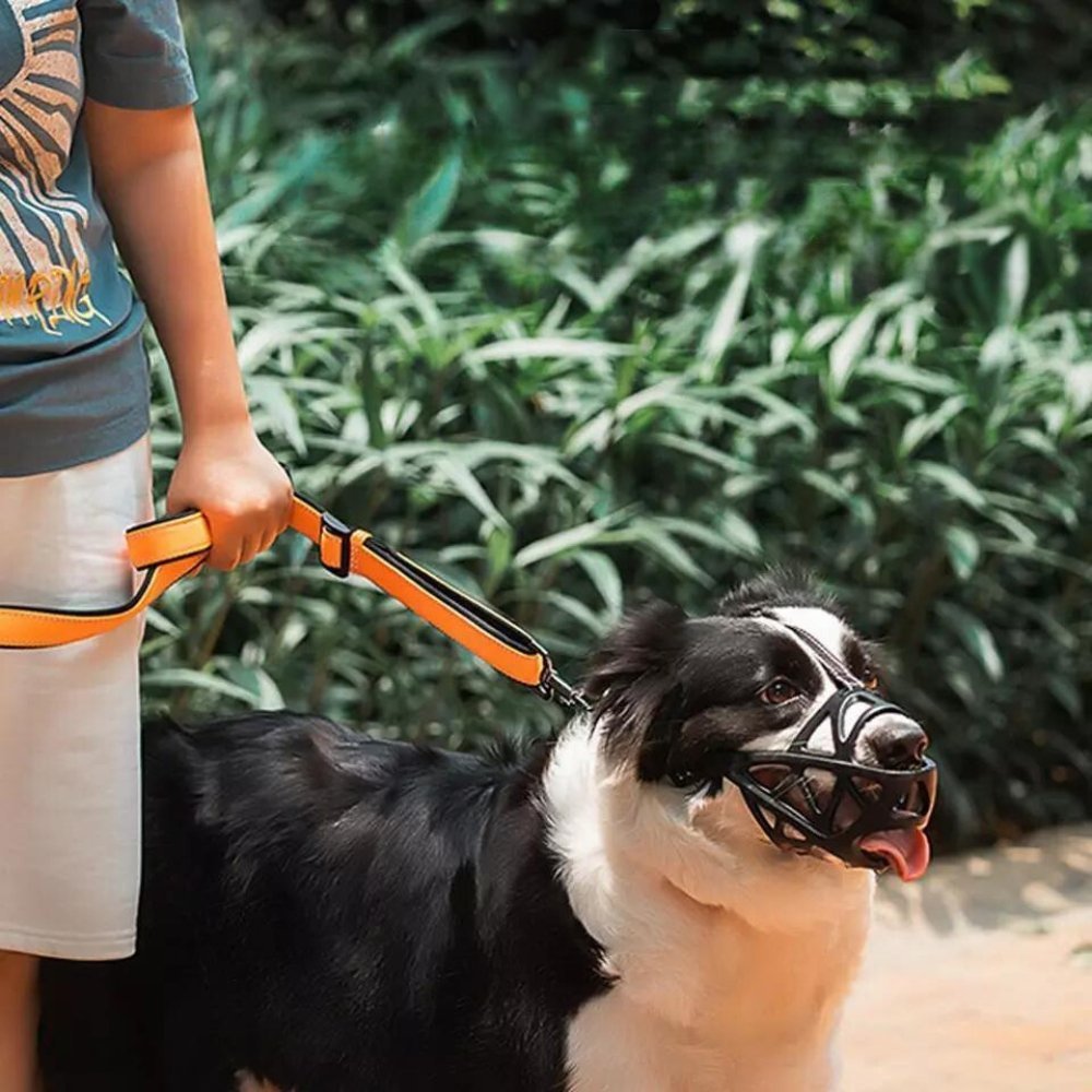 BITEWISE – Gentle Dog Muzzle for Safe Behavior Control
