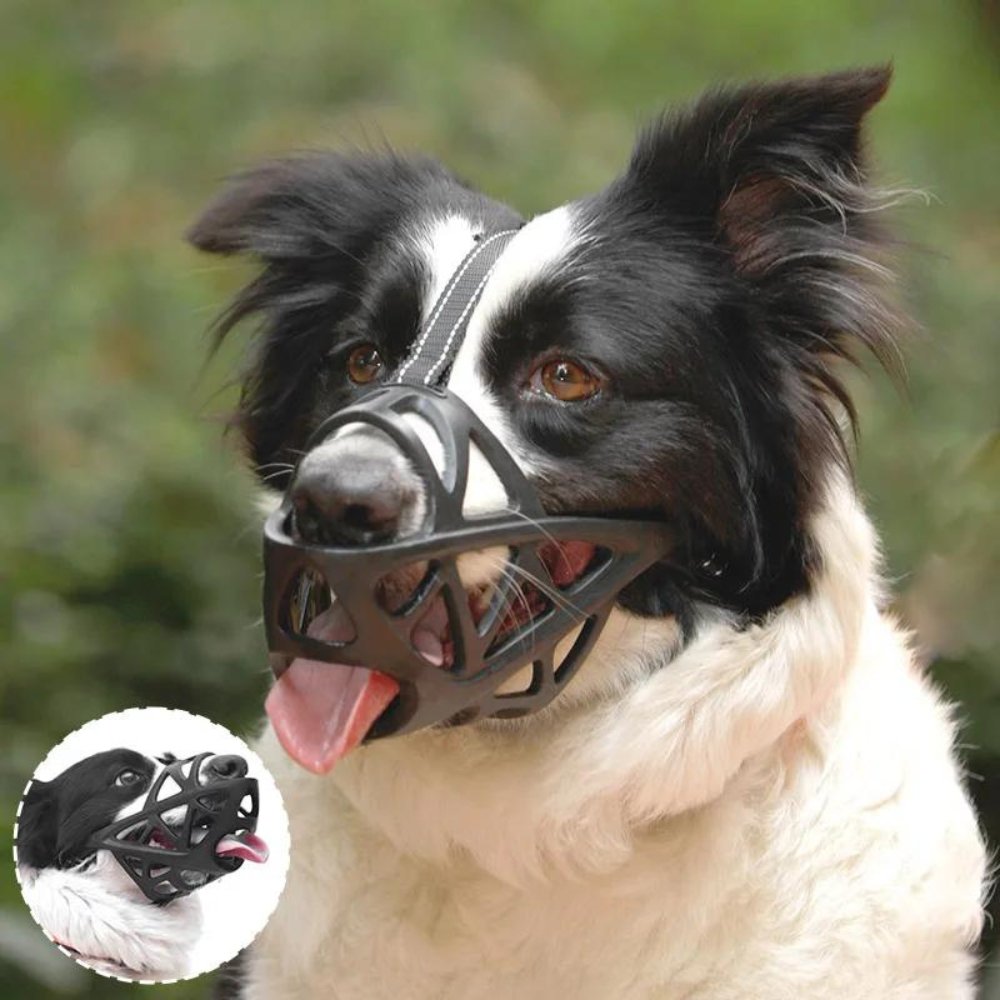 BITEWISE – Gentle Dog Muzzle for Safe Behavior Control