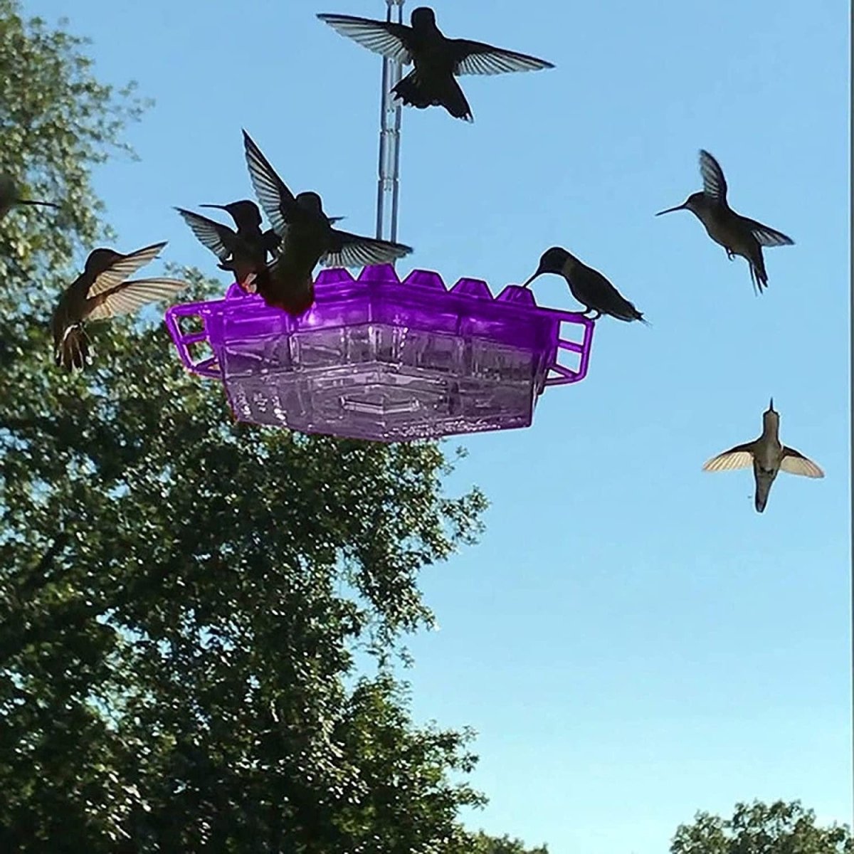 Ant Proof Hummingbird Feeder with 30 Feeding Ports and Easy Filling System 0