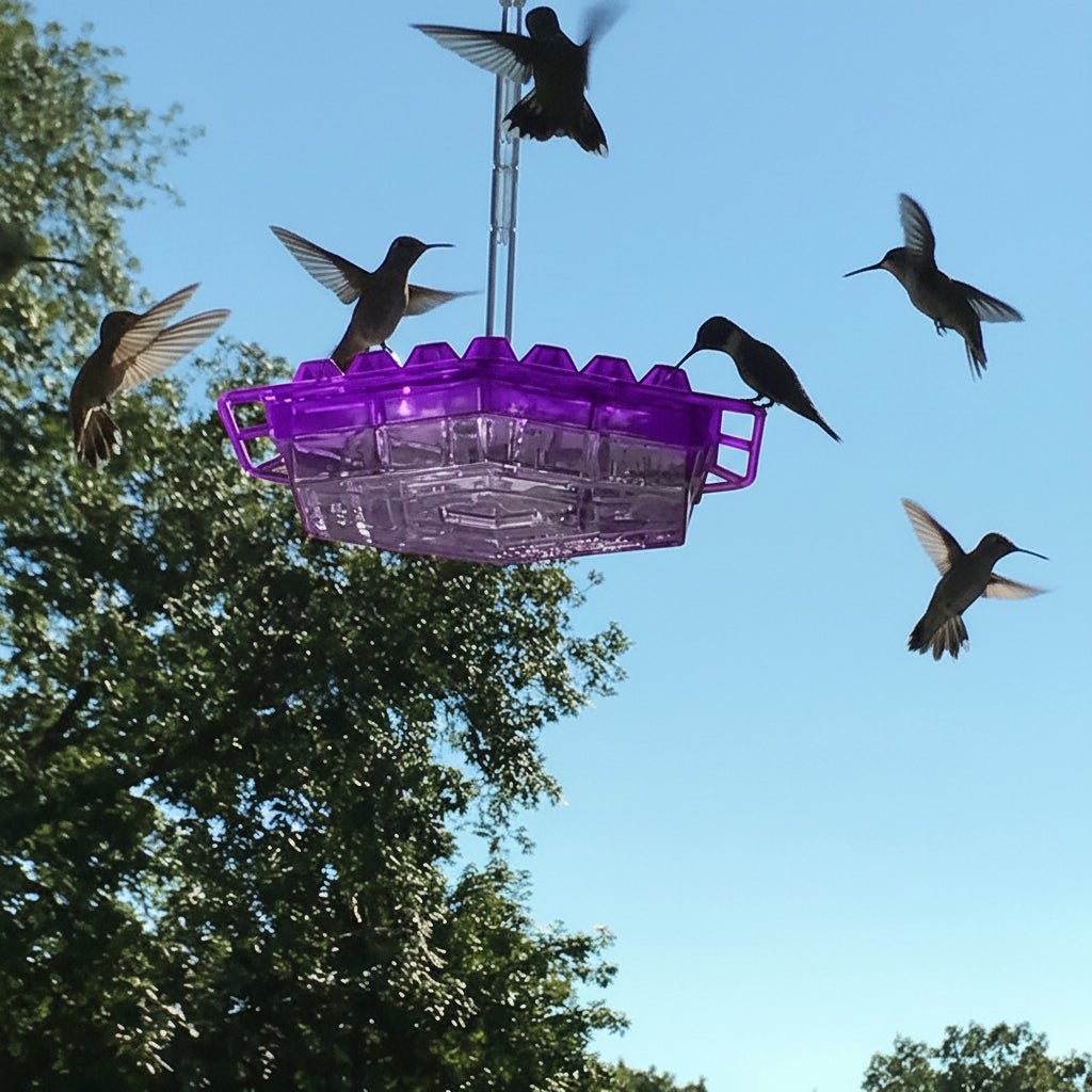 Ant Proof Hummingbird Feeder with 30 Feeding Ports and Easy Filling System 2