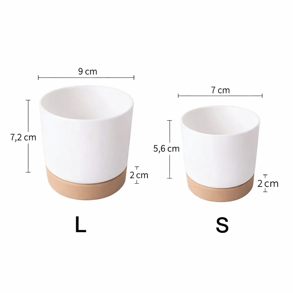 BOTANICAIR – Smart Self-Watering Flower Pot for Indoor & Office Plants