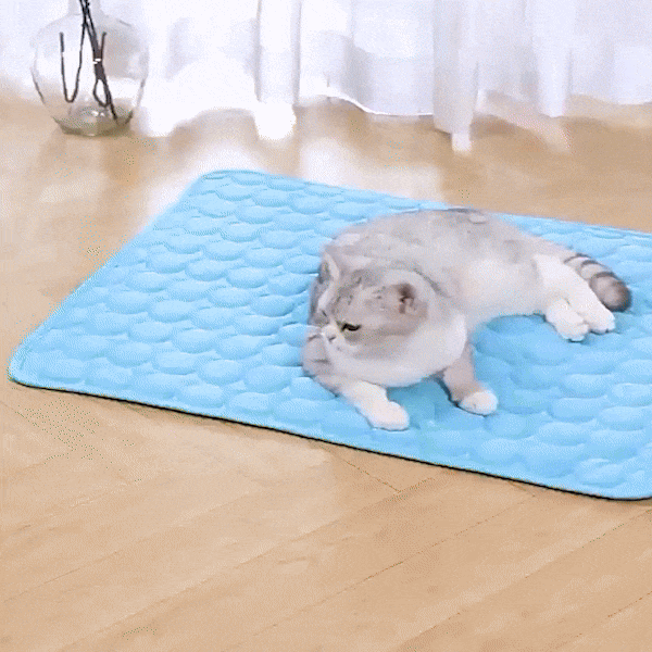 FURBREEZE – Self-Cooling Pet Pad for Instant Summer Comfort