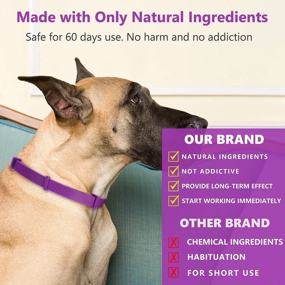 Calmdog - sedative collar with pheromones for relaxed dogs 1