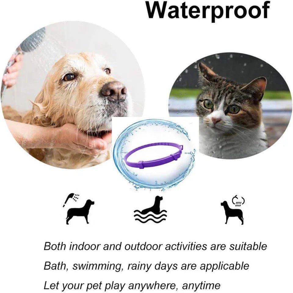 Calmdog - sedative collar with pheromones for relaxed dogs 4