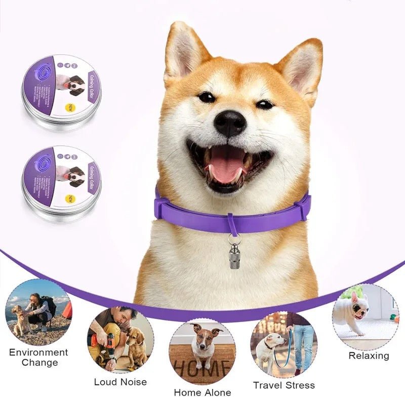 Calmdog - sedative collar with pheromones for relaxed dogs 2