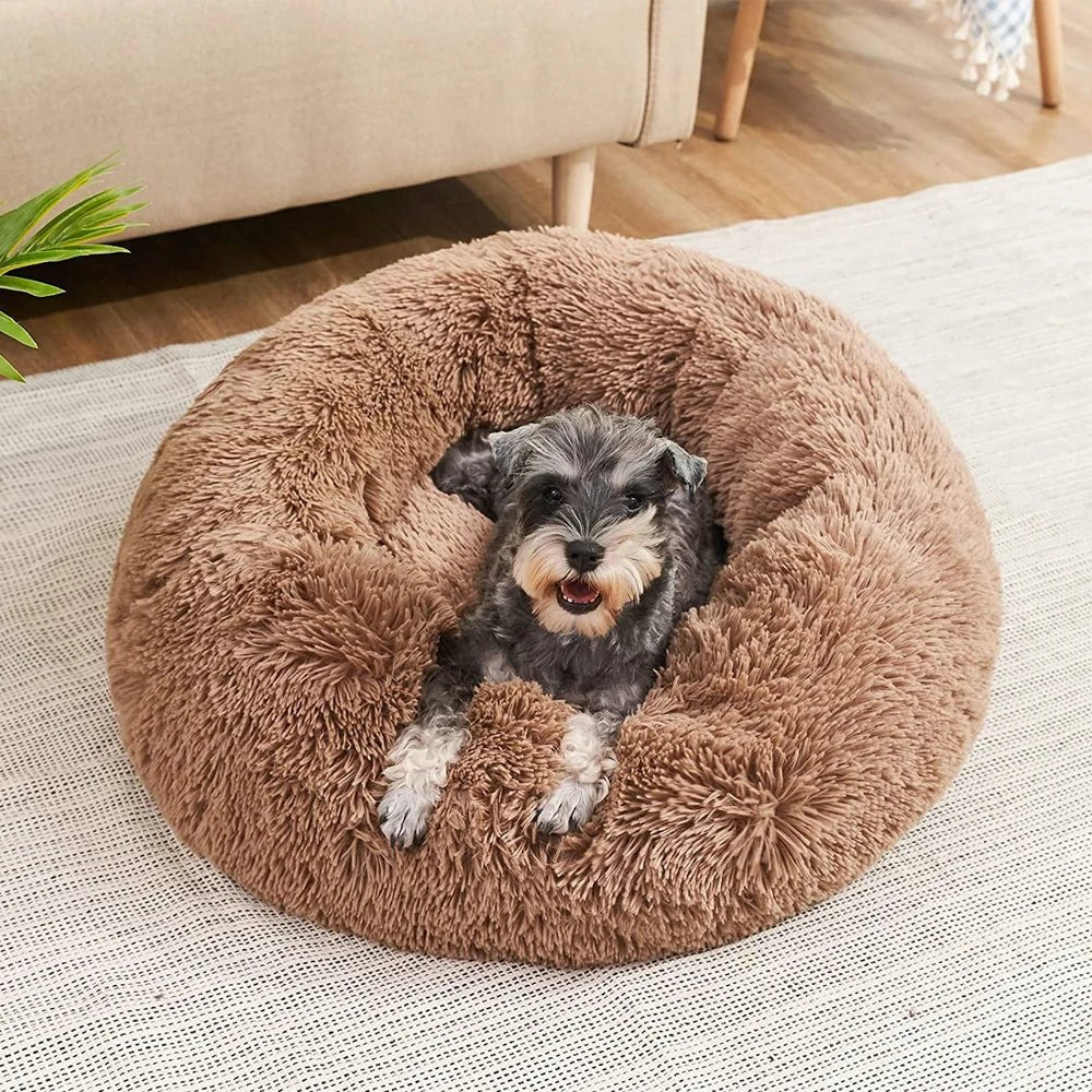  Soothing dog bed - super soft & comfortable for relaxed nights-6