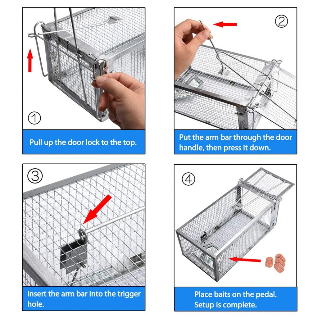 Humane Rodent Control Cage Trap for Mice and Rats - Durable Galvanized Iron, High Sensitivity Auto Lock 4
