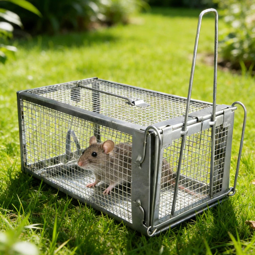 Humane Rodent Control Cage Trap for Mice and Rats - Durable Galvanized Iron, High Sensitivity Auto Lock 0