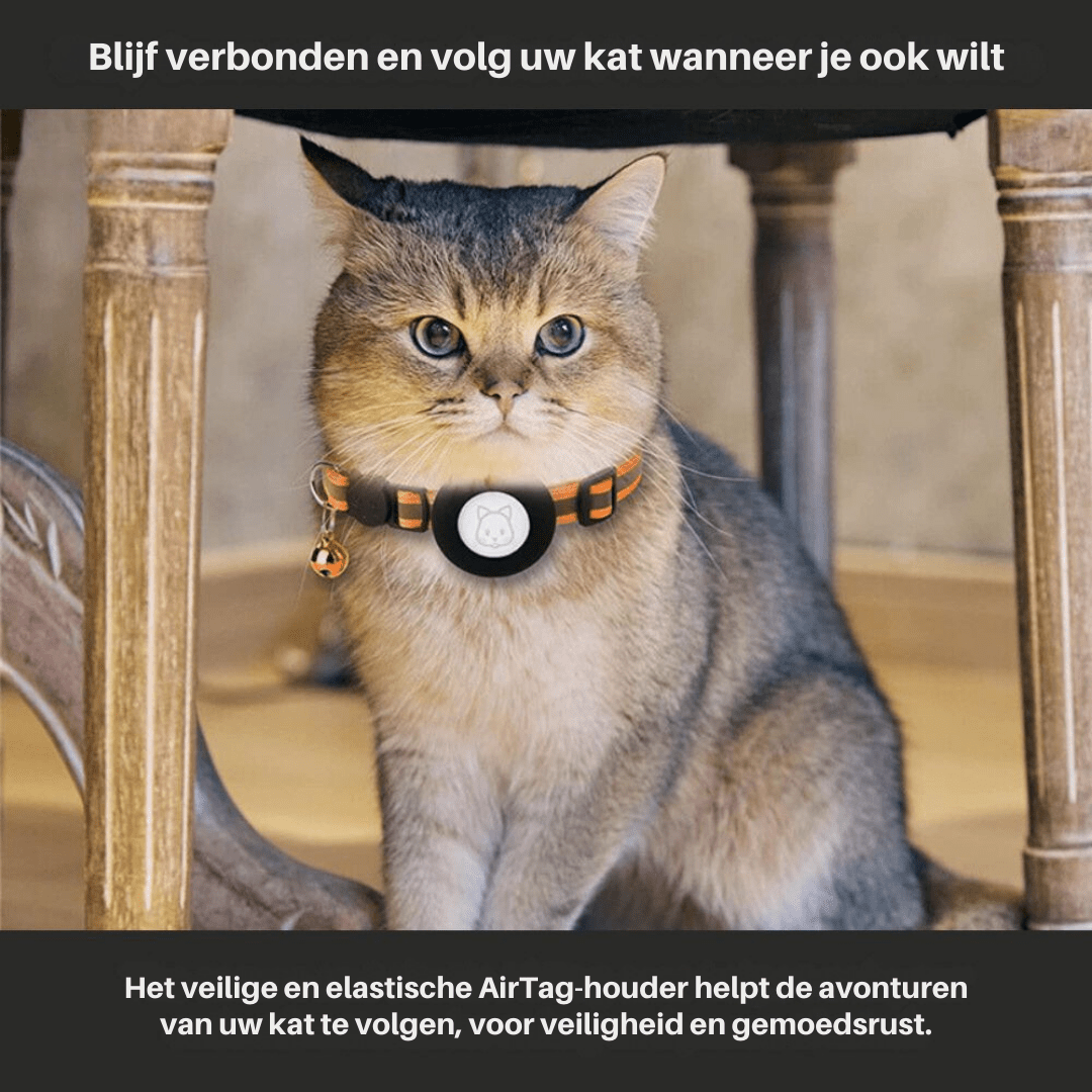 CATSAFE TRACK – coleira com localizador GPS para segurança e visibilidade em gatos