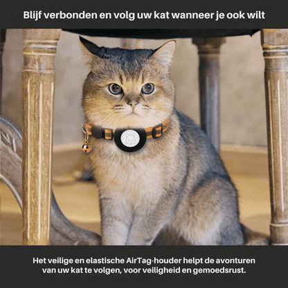 CATSAFE TRACK – coleira com localizador GPS para segurança e visibilidade em gatos