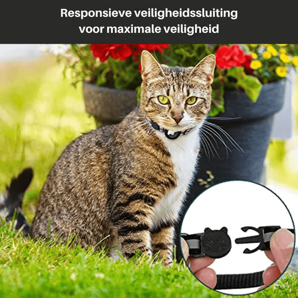 CATSAFE TRACK – Collar rastreador GPS para seguridad y visibilidad en gatos