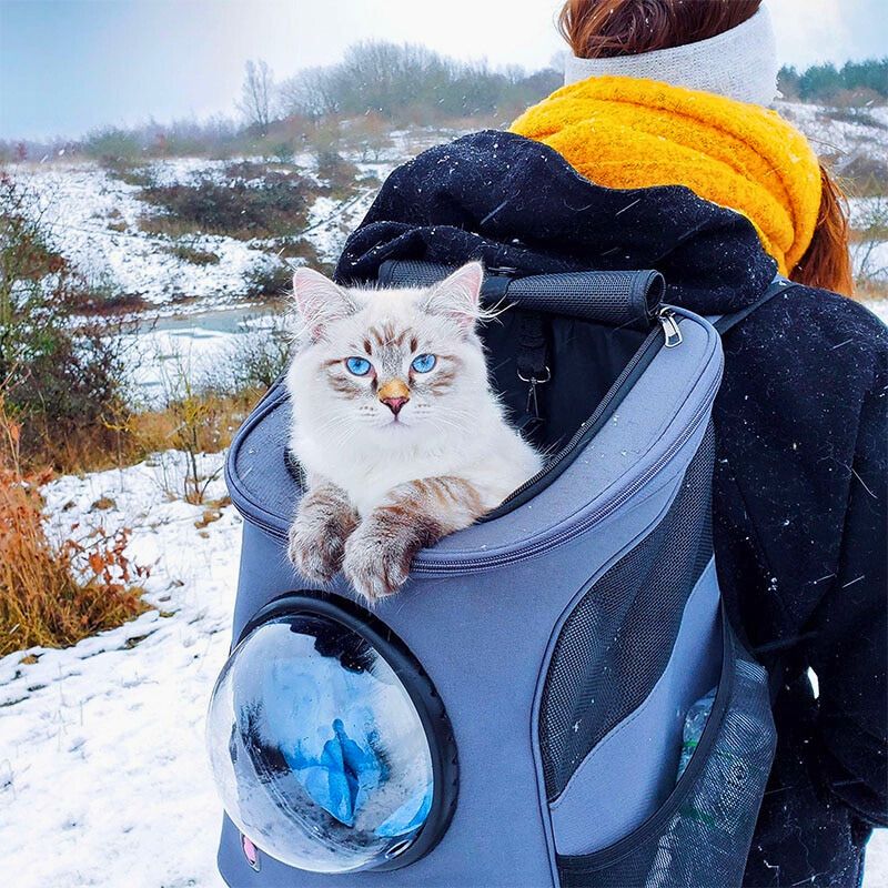  CATTREKKER - foldable cat triple bags with panoramic windows for stress -free travel-3