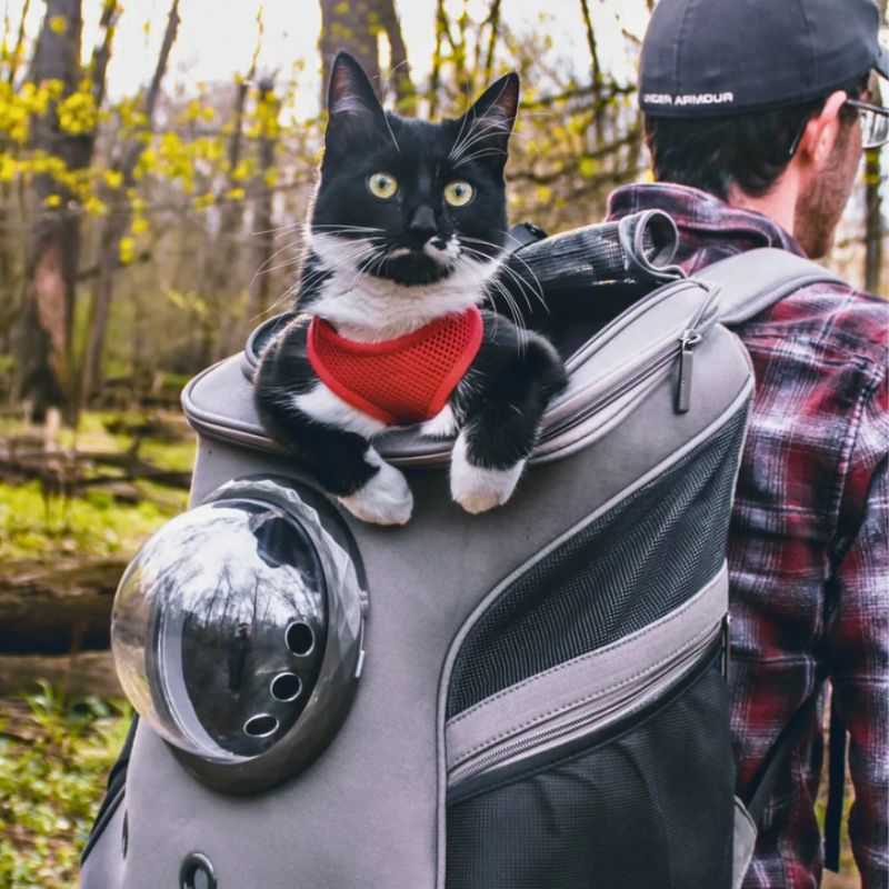  CATTREKKER - foldable cat triple bags with panoramic windows for stress -free travel-6