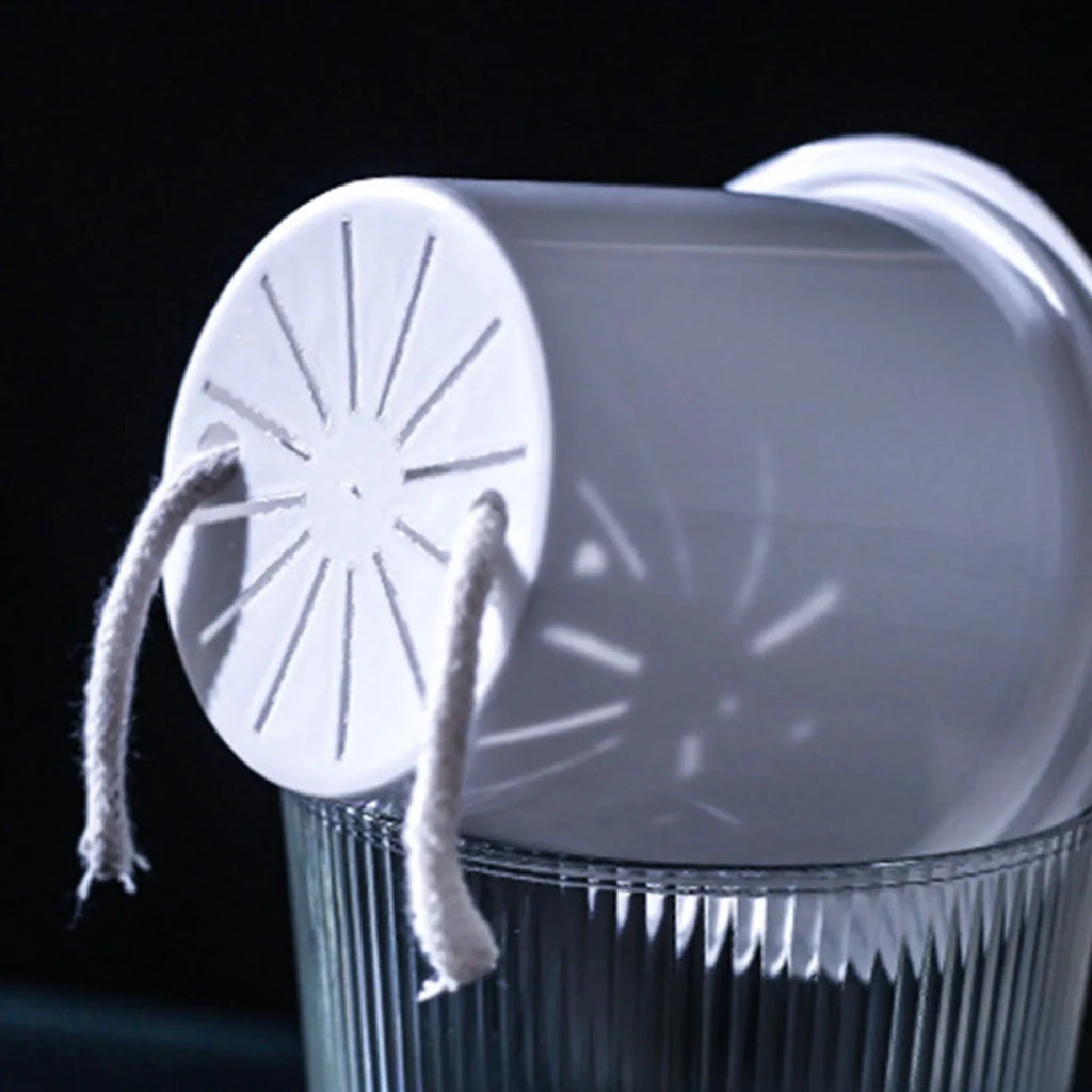 Elegant Clear Self-Watering Planters for Indoor & Outdoor Plants - Modern Design 3