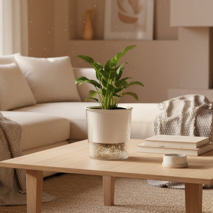 CLEARBLOOM – Self-Watering Clear Planter for Indoor & Outdoor Plants