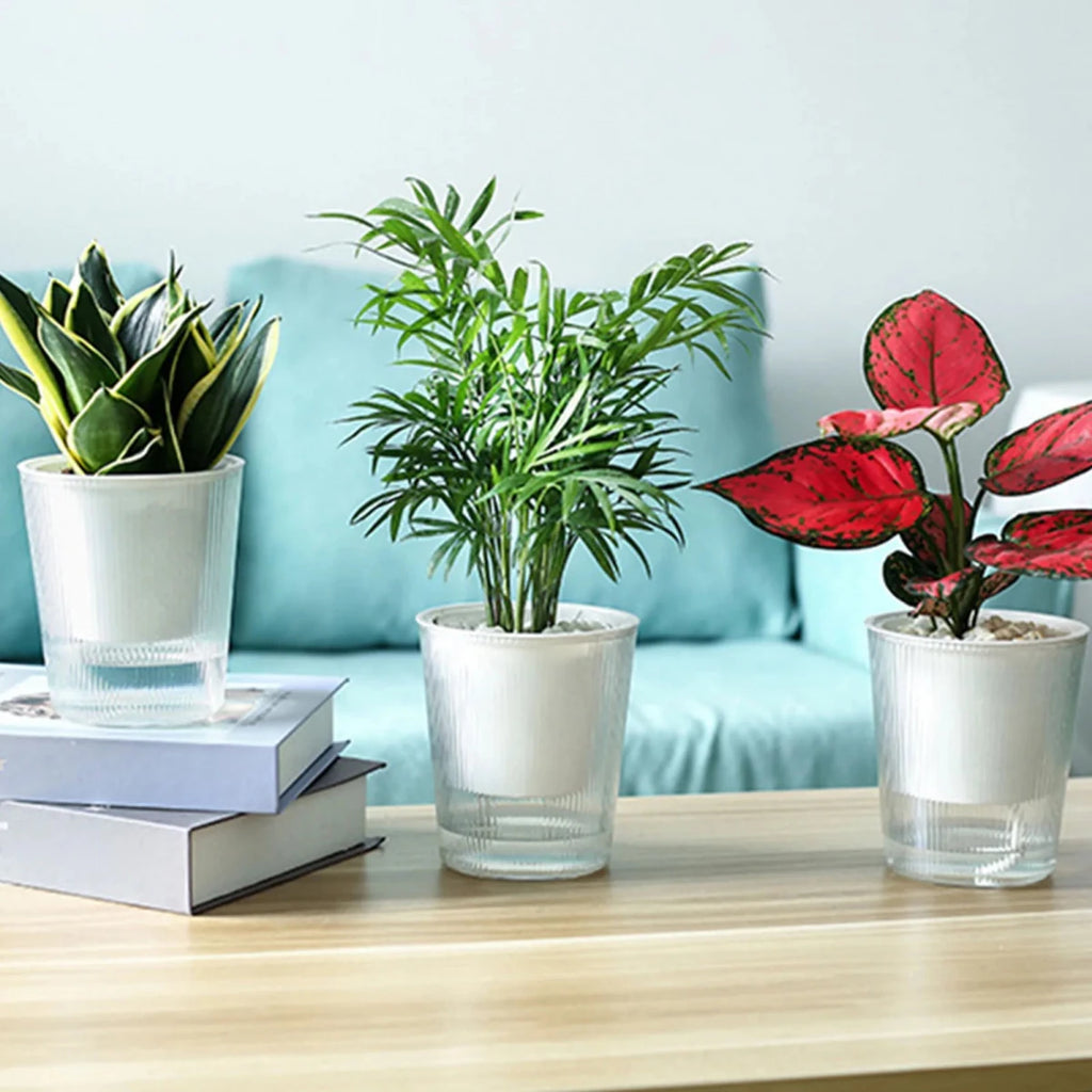 Elegant Clear Self-Watering Planters for Indoor & Outdoor Plants - Modern Design 2