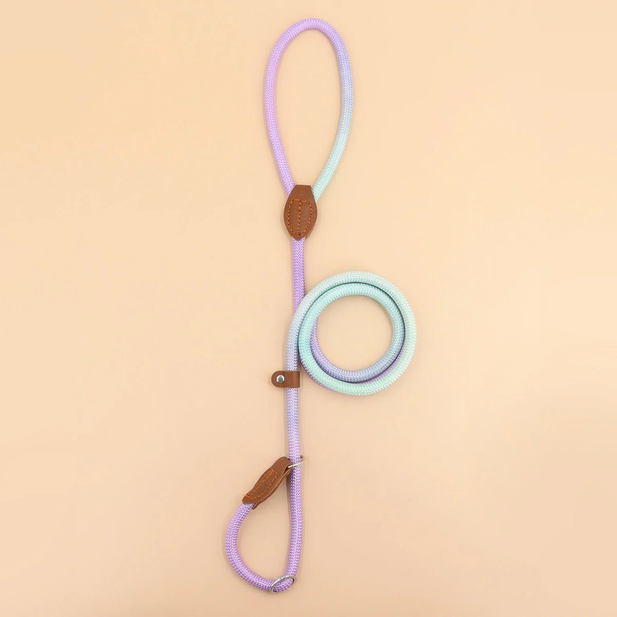  Clémentine Laisse - colorful dog leash for stylish & safe walks-4