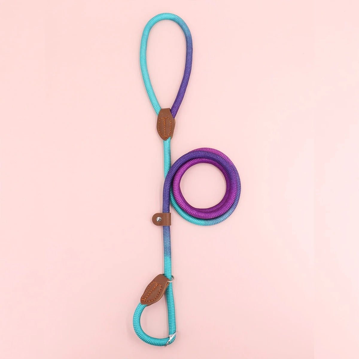  Clémentine Laisse - colorful dog leash for stylish & safe walks-1