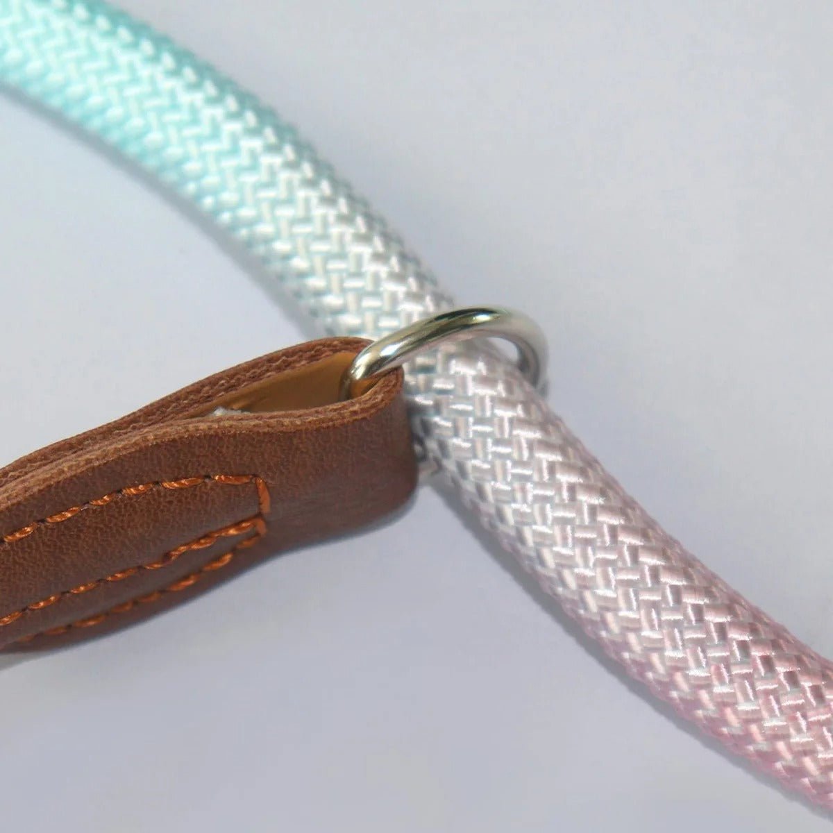  Clémentine Laisse - colorful dog leash for stylish & safe walks-6