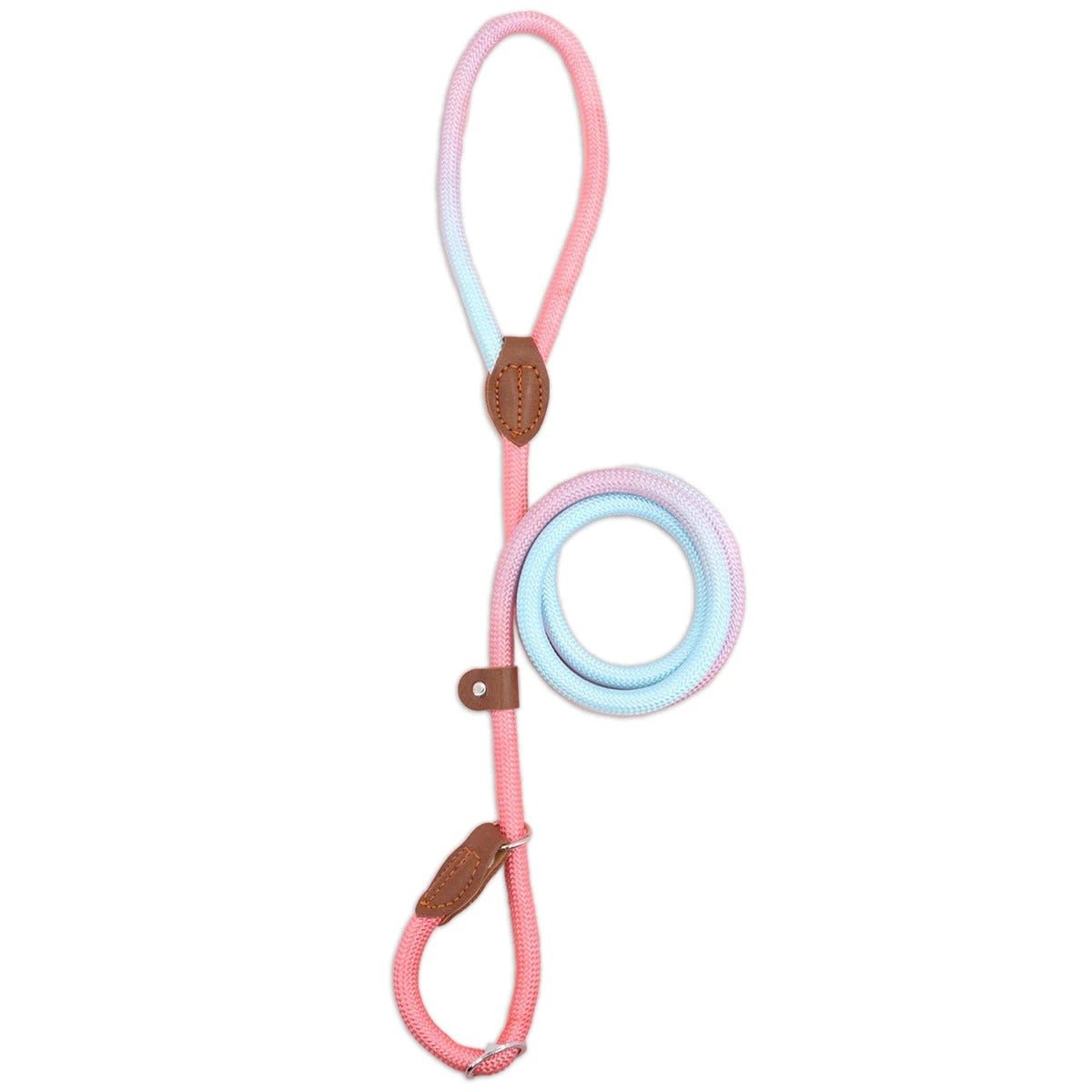  Clémentine Laisse - colorful dog leash for stylish & safe walks-3