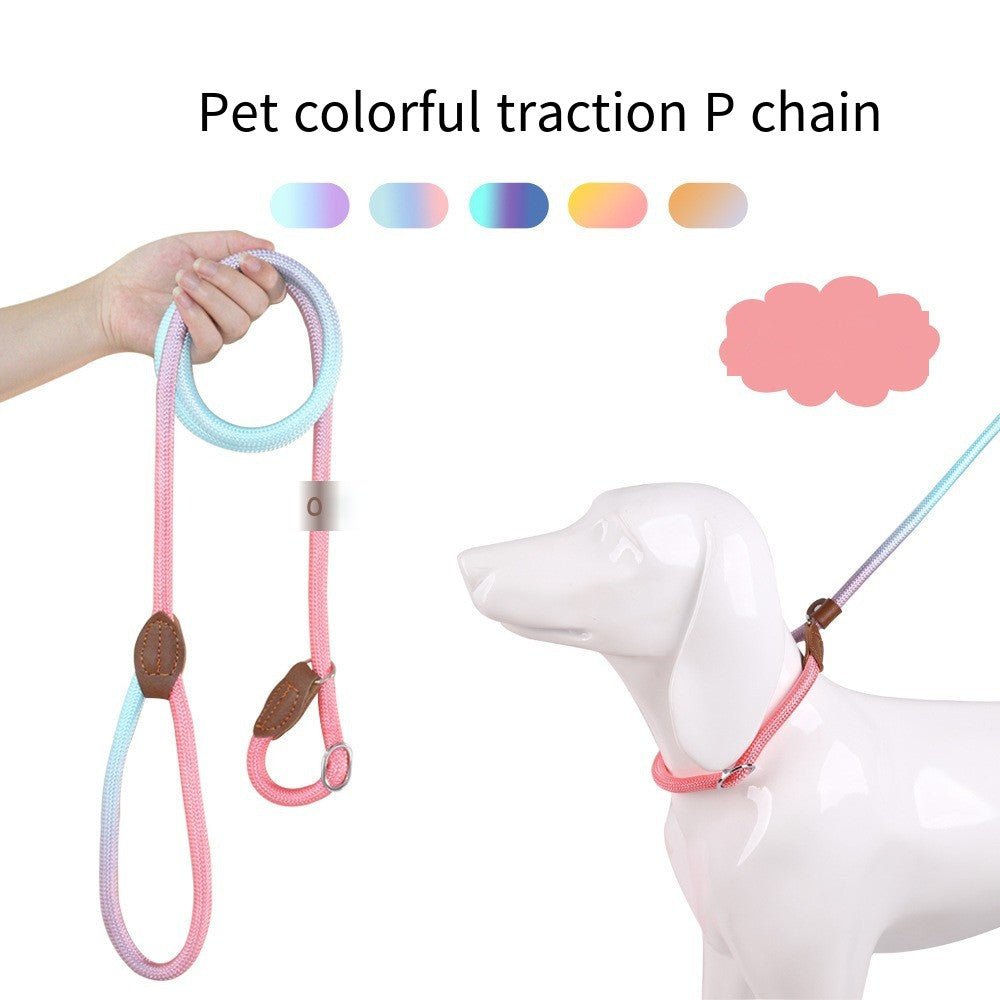 CLÉMENTINE – Laisse colorée pour chien pour des promenades stylées