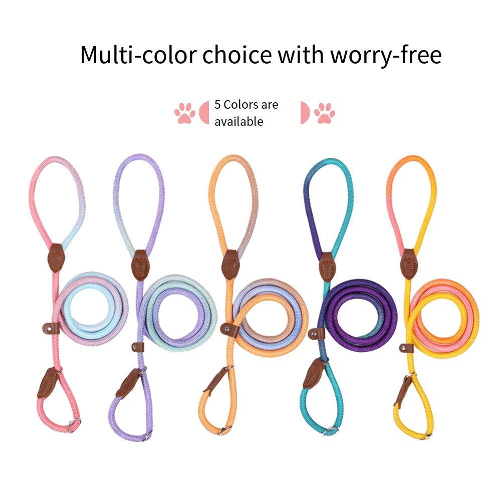 CLÉMENTINE – Correa de perro colorida para paseos con estilo