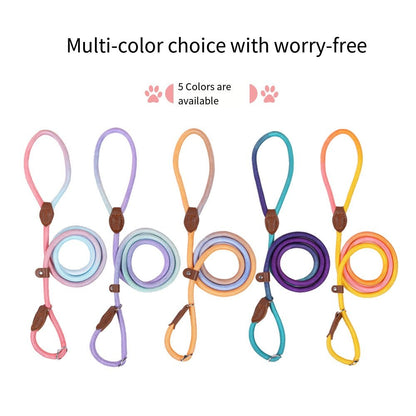 CLÉMENTINE – Correa de perro colorida para paseos con estilo