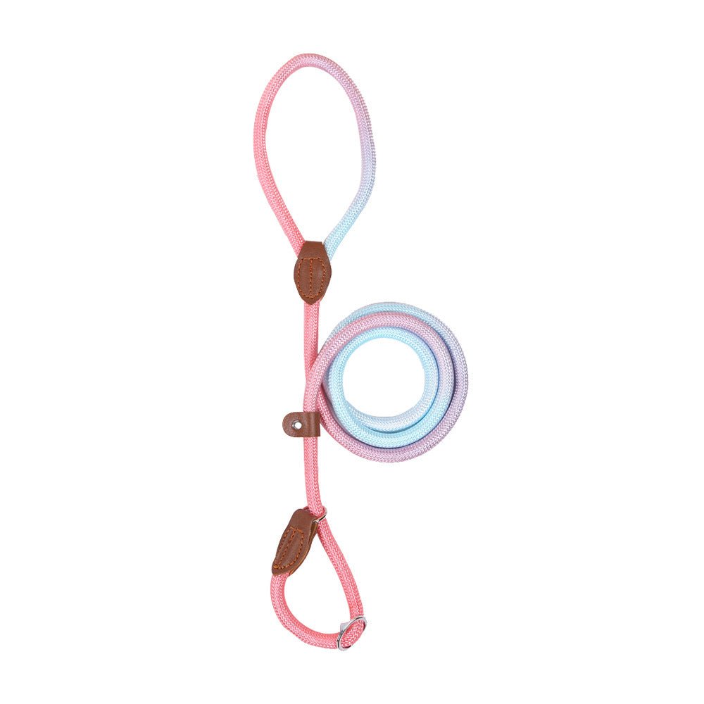 CLÉMENTINE – Correa de perro colorida para paseos con estilo