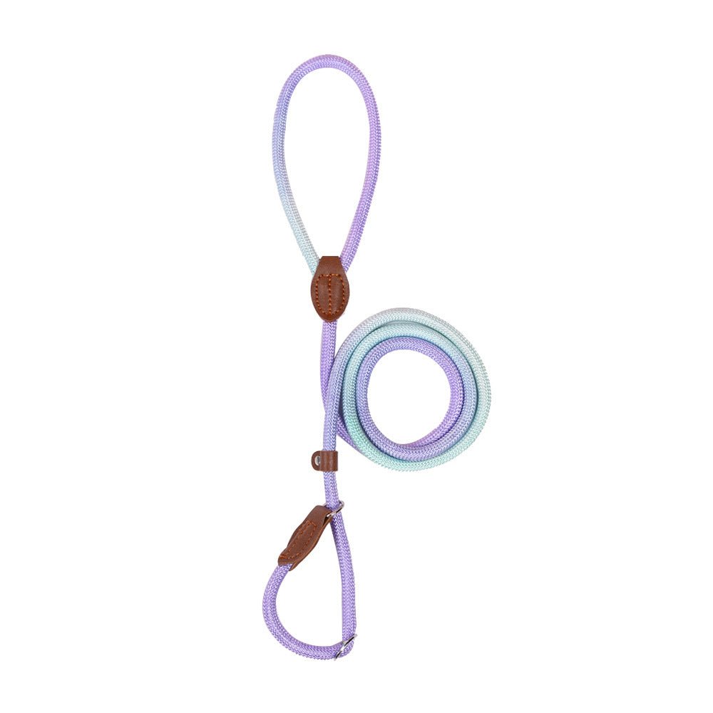CLÉMENTINE – Correa de perro colorida para paseos con estilo