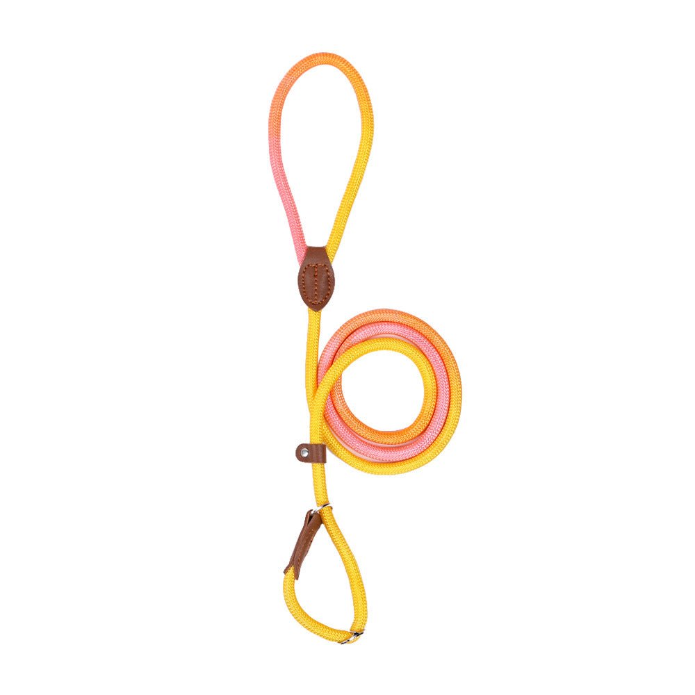 CLÉMENTINE – Correa de perro colorida para paseos con estilo