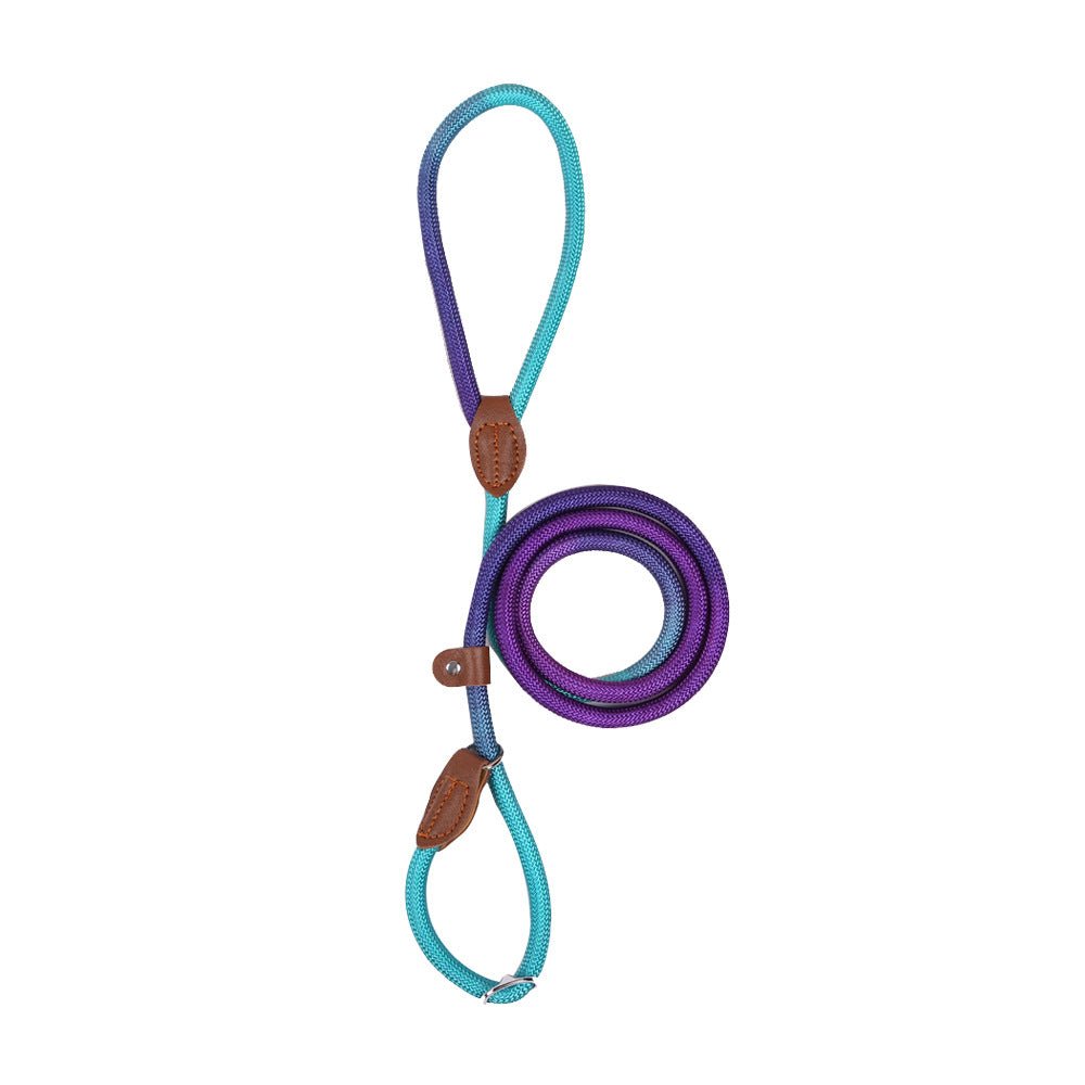 CLÉMENTINE – Correa de perro colorida para paseos con estilo