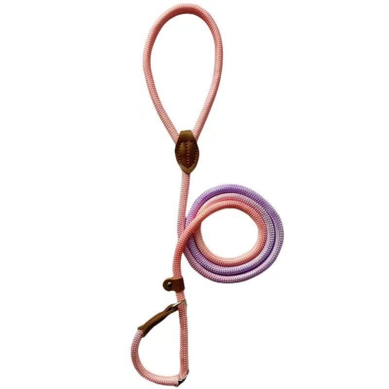 CLÉMENTINE – Correa de perro colorida para paseos con estilo