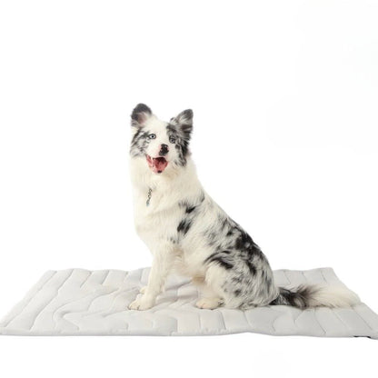 Coolpaws cooling mat - self -cooling dog carpet for hot summer days 0