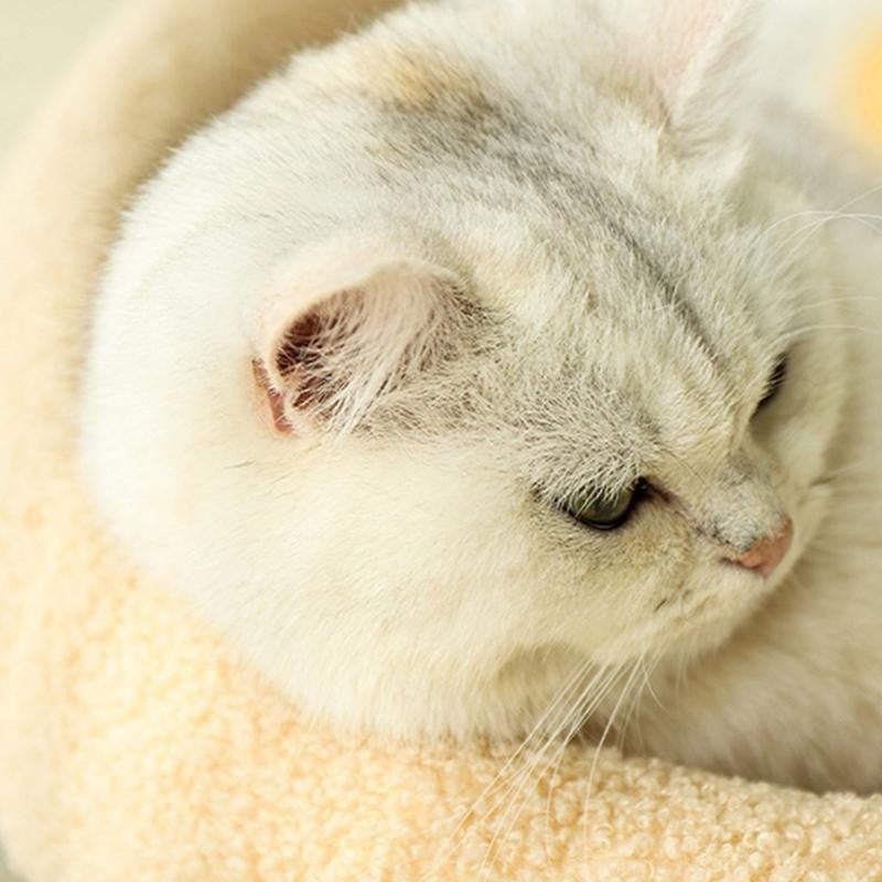 COSYCAT RETREAT – Stylish Cat Bed with Scratch Surface & Soft Cushion
