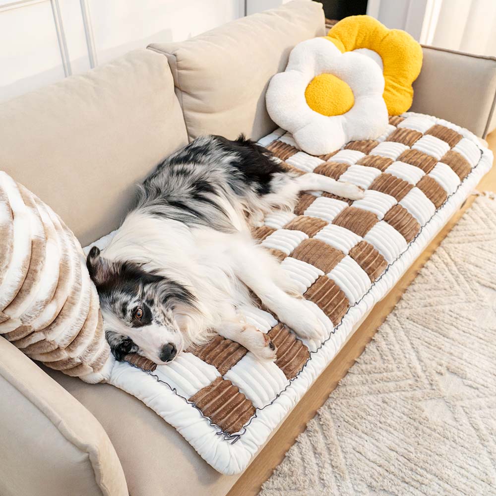  Cozycover-soft chenille ceiling to relax with your pet-2