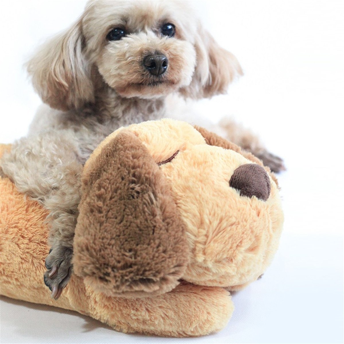  Cuddlepup - calming cuddly toy with heartbeat for puppies-4