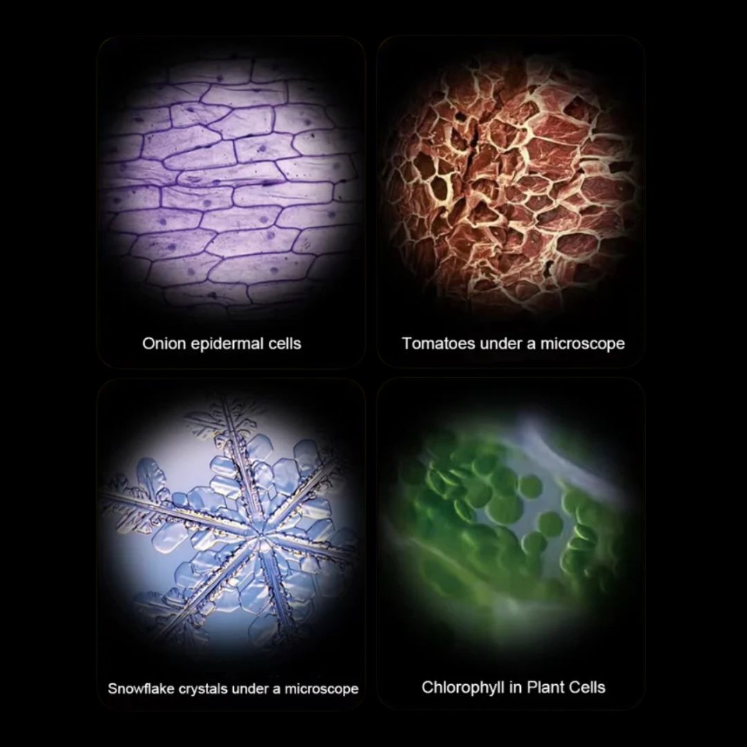 Kids Pocket Microscope - 60-120x Magnification with LED Light for STEM Learning 5