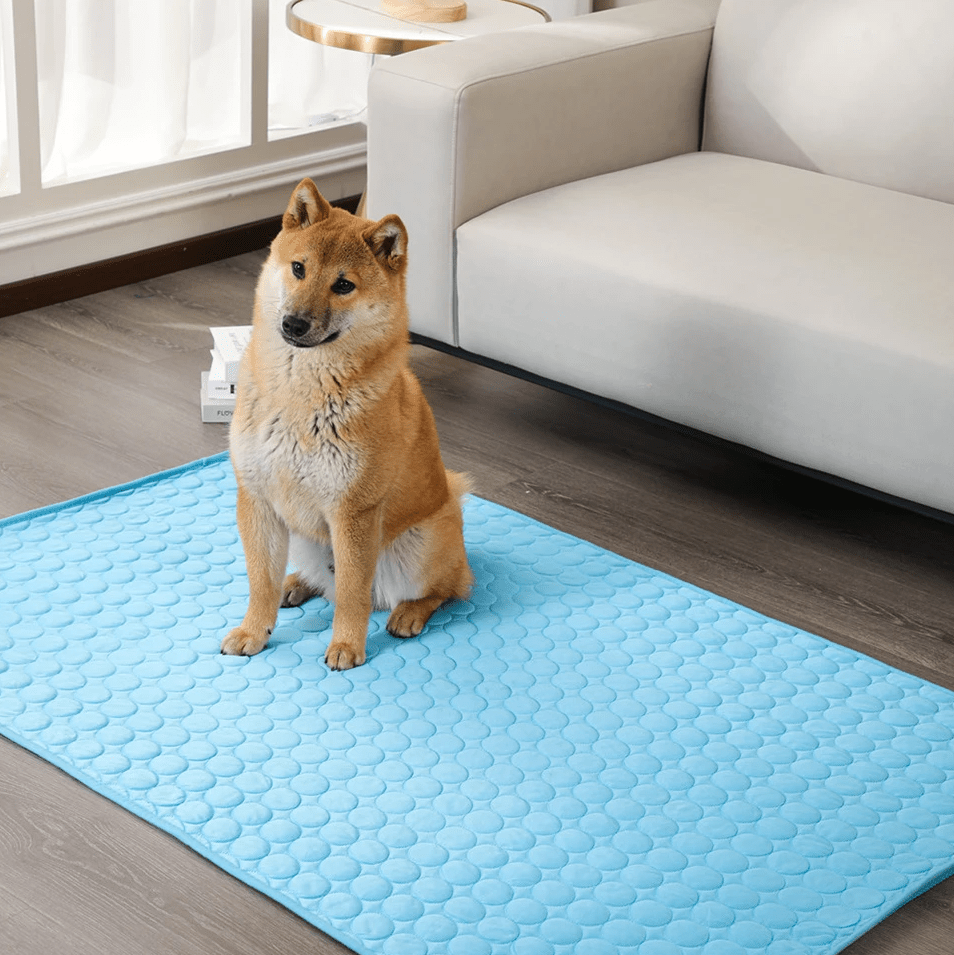 Dogcool Mat - self -cooling dog mat for overheating in summer 3